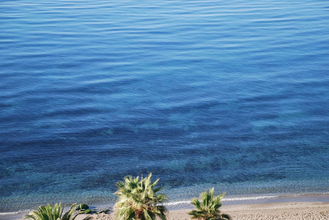 Ausblick vom Zimmer Hotel El Fuerte Marbella