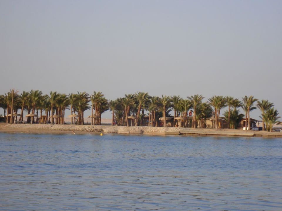 Interconti Abu Soma, Strand und Windsurfbar Palm Royale Resort - Soma Bay