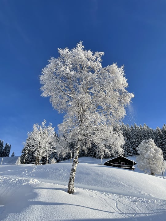 Sonstiges Panoramagasthof Kristberg