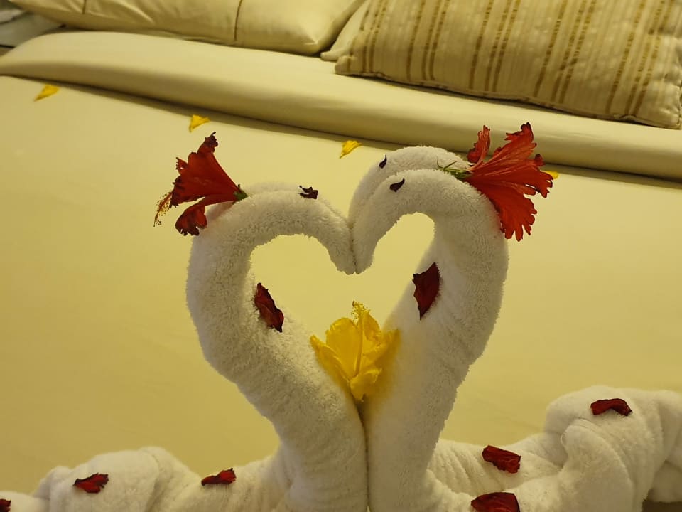 Zimmer Makadi Spa - Adults only