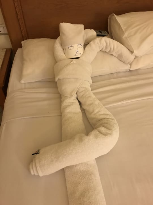 Jeden Tag eine neue Handtuchfigur  Fort Arabesque Resort, Spa & Villas