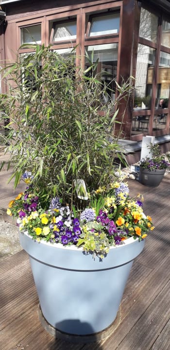 Gartenanlage H+ Hotel Bochum