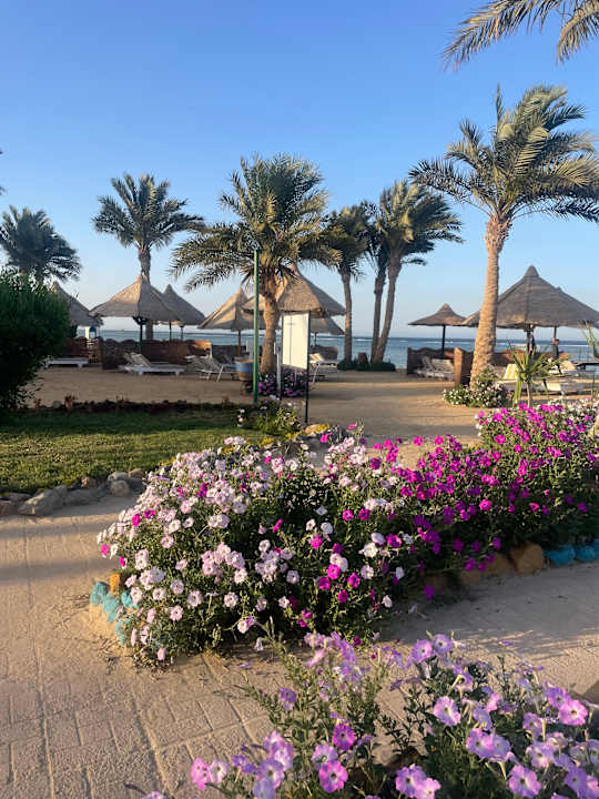 Strand MG Alexander The Great Hotel