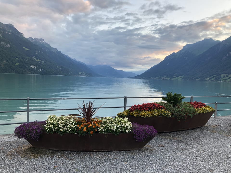 Ausblick Hotel Brienzerburli/Löwen
