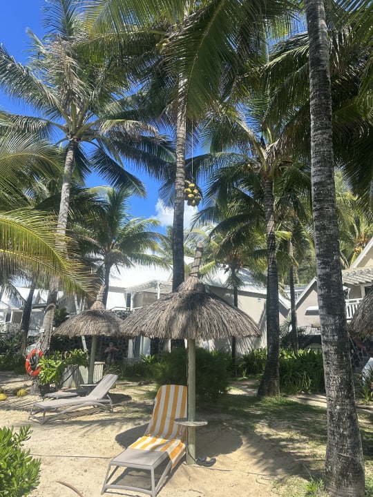 Gartenanlage Tropical Attitude - Adults only