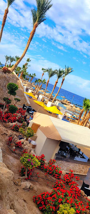 Strand Pickalbatros Citadel Resort