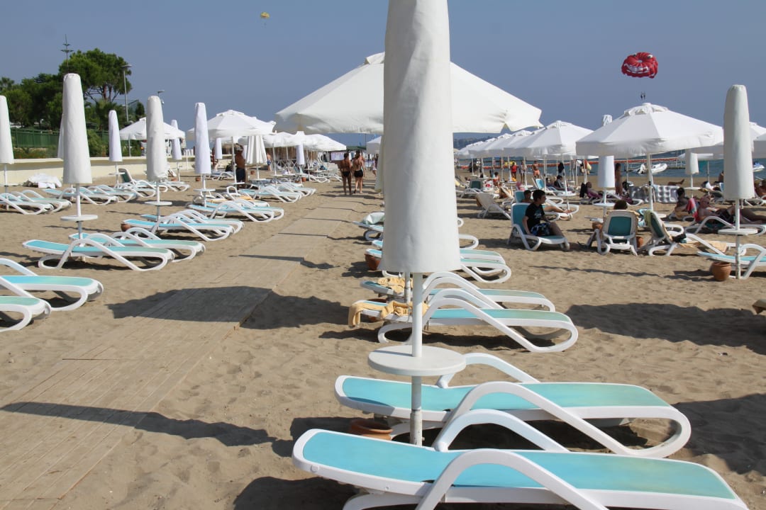 Immer frei Plätze PALOMA Perissia