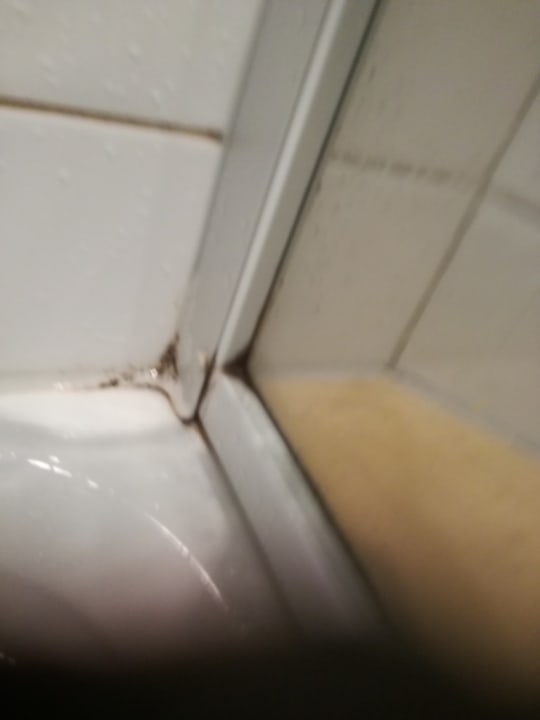 Zimmer Wiedemann's Weinhotel