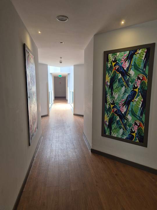 Zimmer Megasaray Club Belek