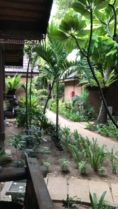 Gartenanlage Samui Paradise Chaweng Beach Resort & Spa