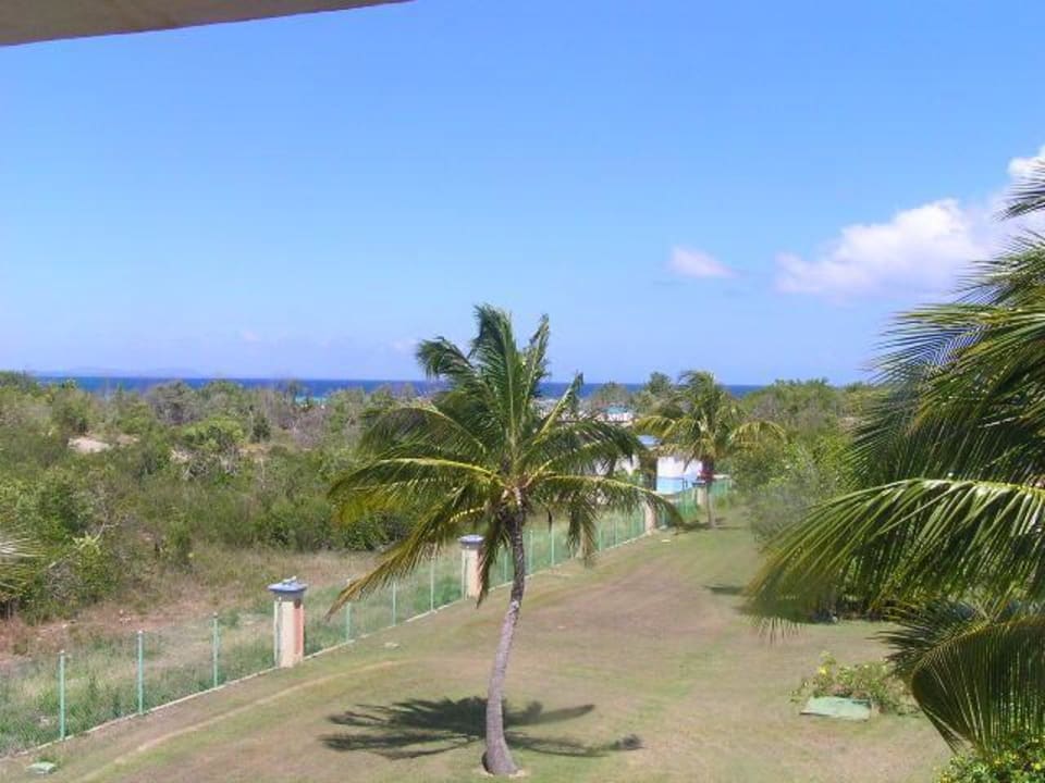 Blick von unserem Balkon Playa Costa Verde
