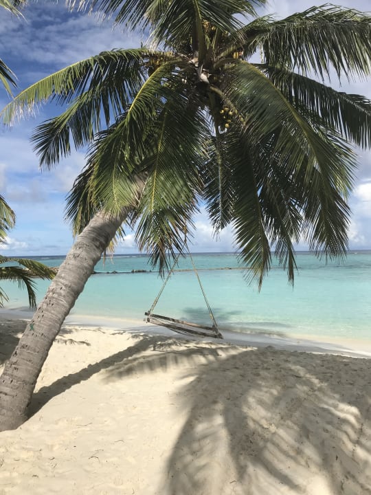Ausblick Summer Island Maldives