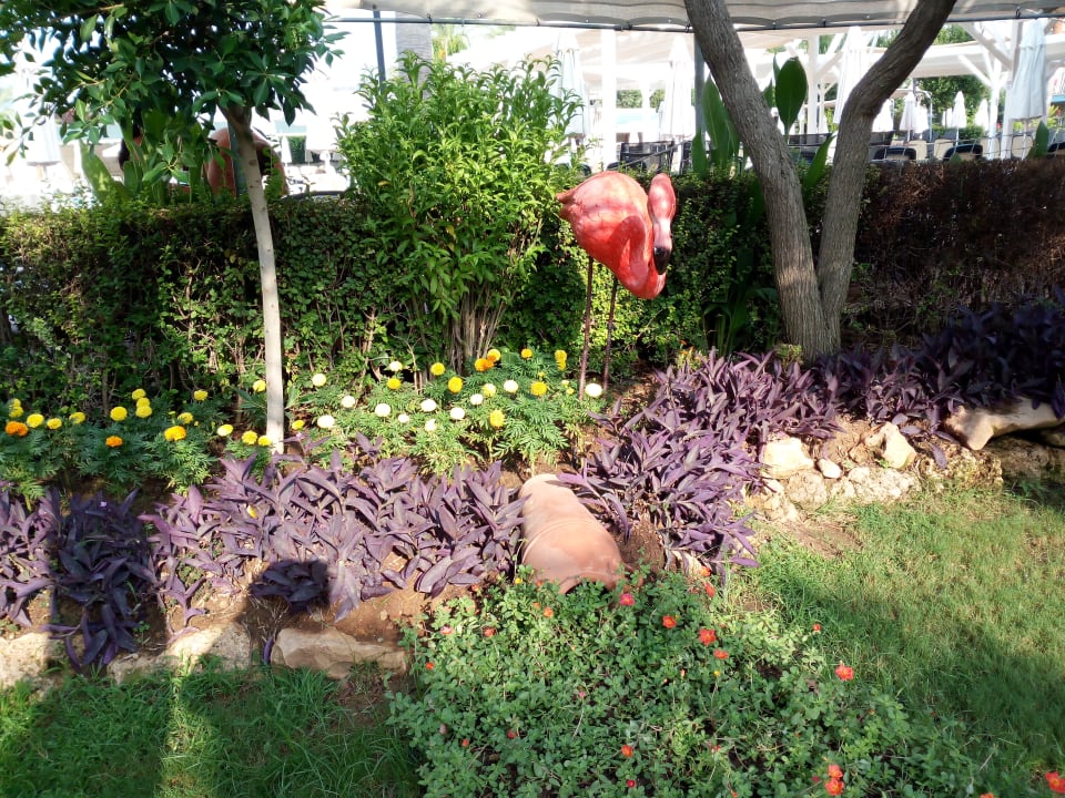 Gartenanlage Belek Beach Resort Hotel