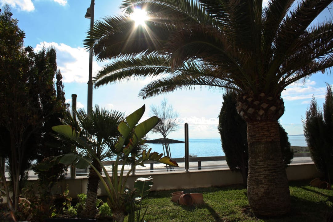 Blick von der Frühstücksterrasse auf's Mittelmeer AluaSoul Palma