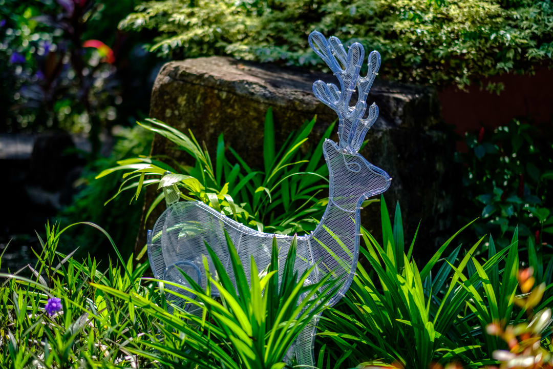 Gartenanlage Zazen Boutique Resort & Spa