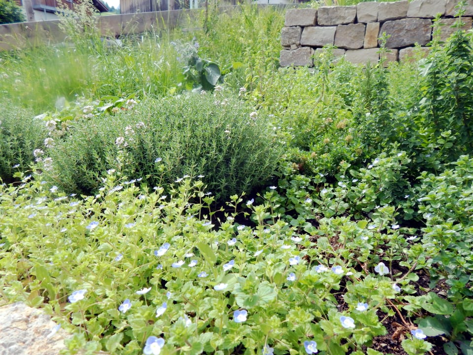 Gartenanlage Berggasthof Sonne Allgäu