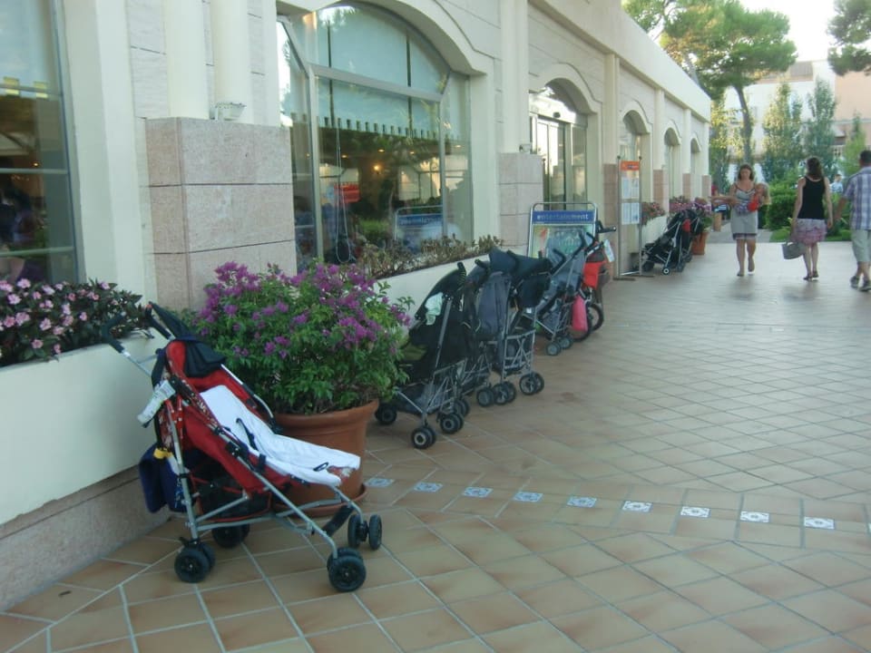 Vor dem Lokal: Buggyparkplatz Zafiro Mallorca