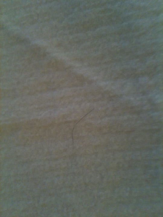 Genau hinschauen Haare im Bett HVD Clubhotel Miramar