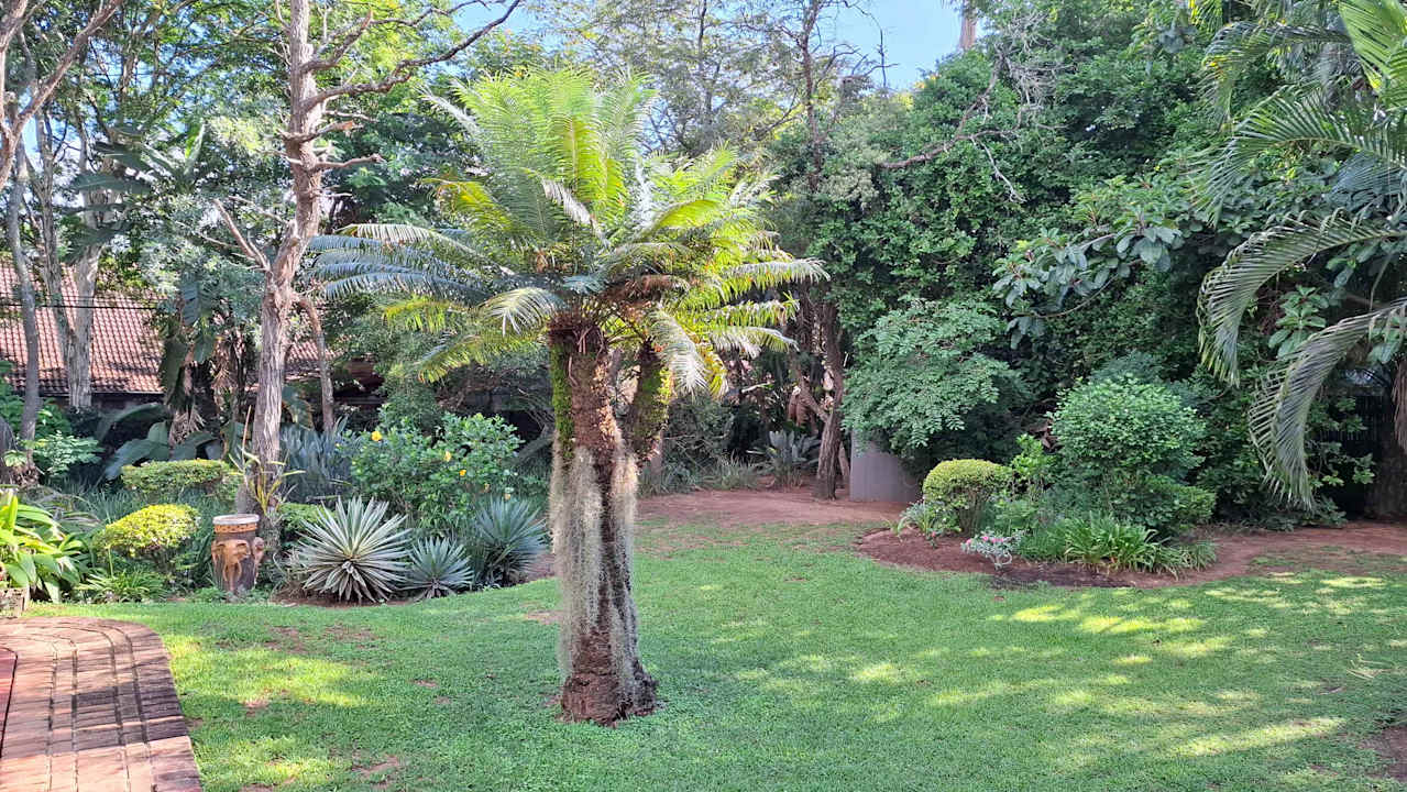 Gartenanlage Dreamfields Guesthouse