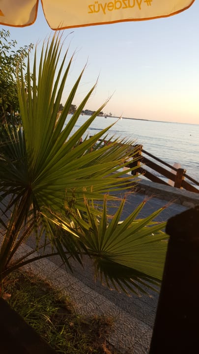 Ausblick Side Altinkum Hotel