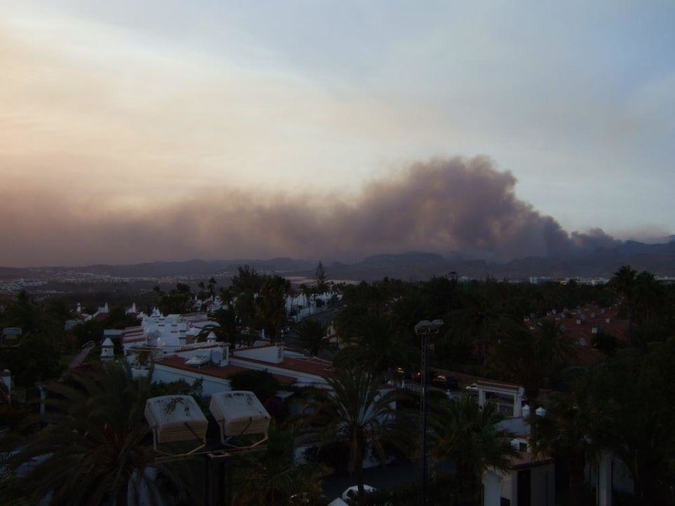 Waldbrand Hotel Riu Palace Maspalomas Adults Only