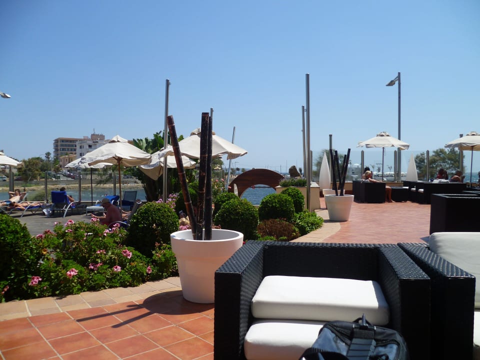 Lounge mit Blick zum Pool AluaSoul Palma