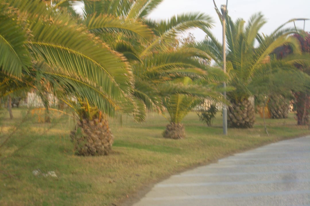 Spazierweg vor dem Strand Commodore Elite Suites & Spa - Adults only