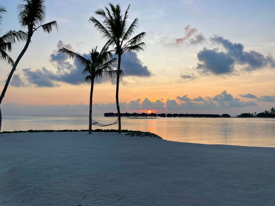 Ausblick TUI BLUE Olhuveli Romance