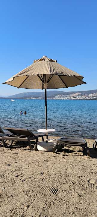 Strand Long Beach Club Nature