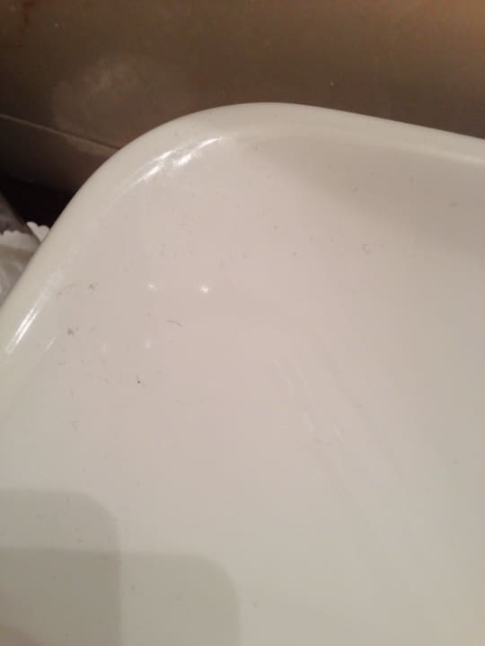 Haare im Bidet Pisa Tower Plaza