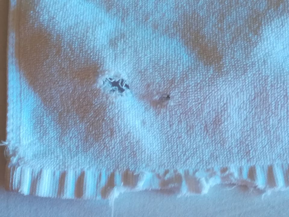 Zimmer Elba Carlota Beach & Golf Resort