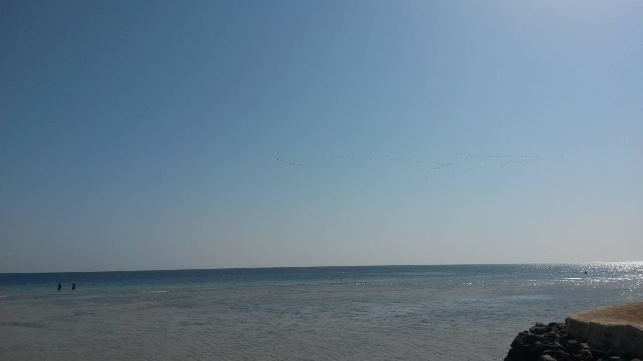 Sonne Strand Meer Grand Makadi