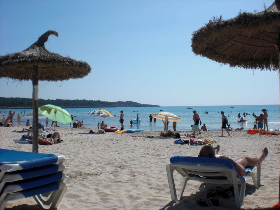 Strandansicht Hipotels Mediterraneo Club