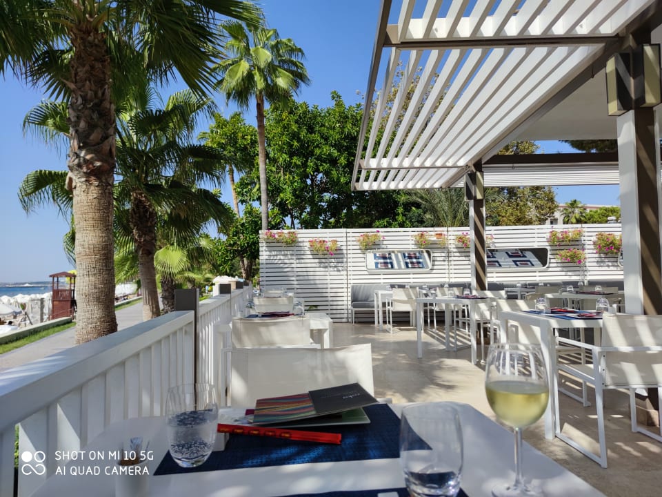 Gastro Acanthus Cennet Barut Collection