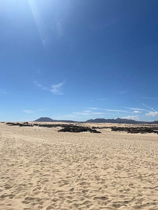 Außenansicht Hotel Riu Oliva Beach Resort