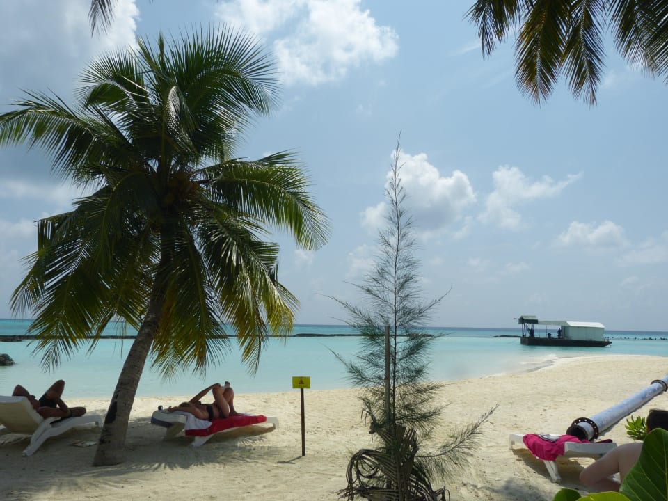 Superiorbungalow 202 Summer Island Maldives