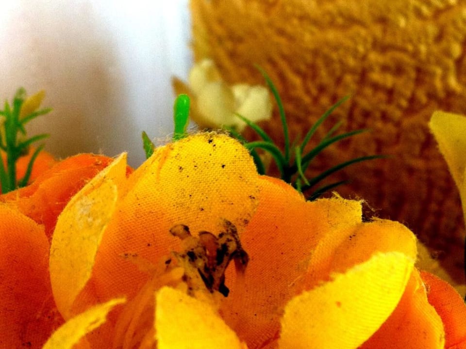 Schmutzige Zimmerdeko Hotel Wolters