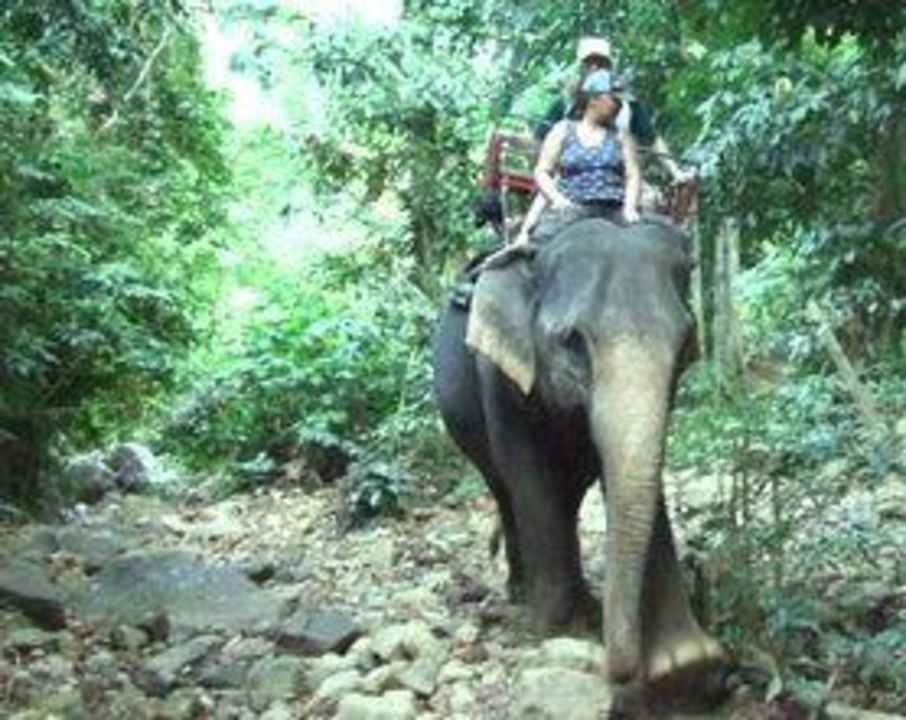 Sportanlagen/Freizeitangebot Chai-Chet Bungalows