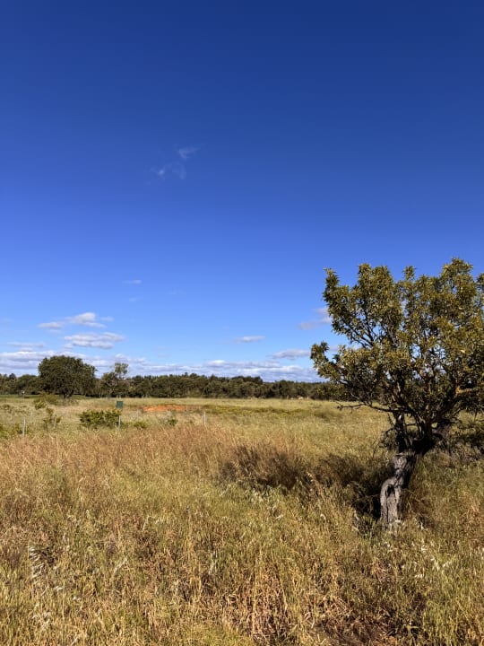 Ausblick ROBINSON QUINTA DA RIA