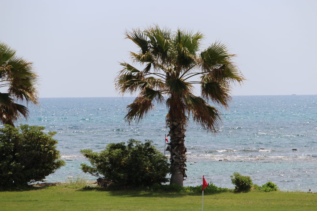 Strand ROBINSON PAMFILYA