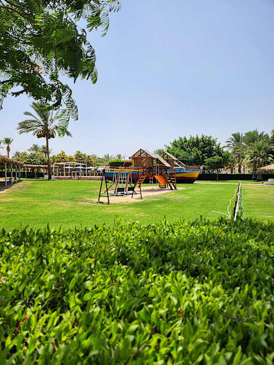 Gartenanlage Desert Rose