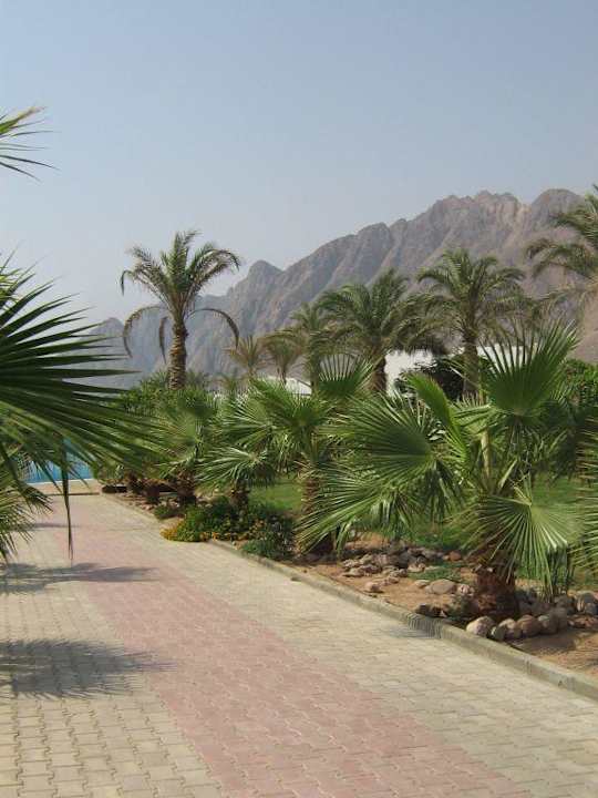 Hotel Happy Life Village