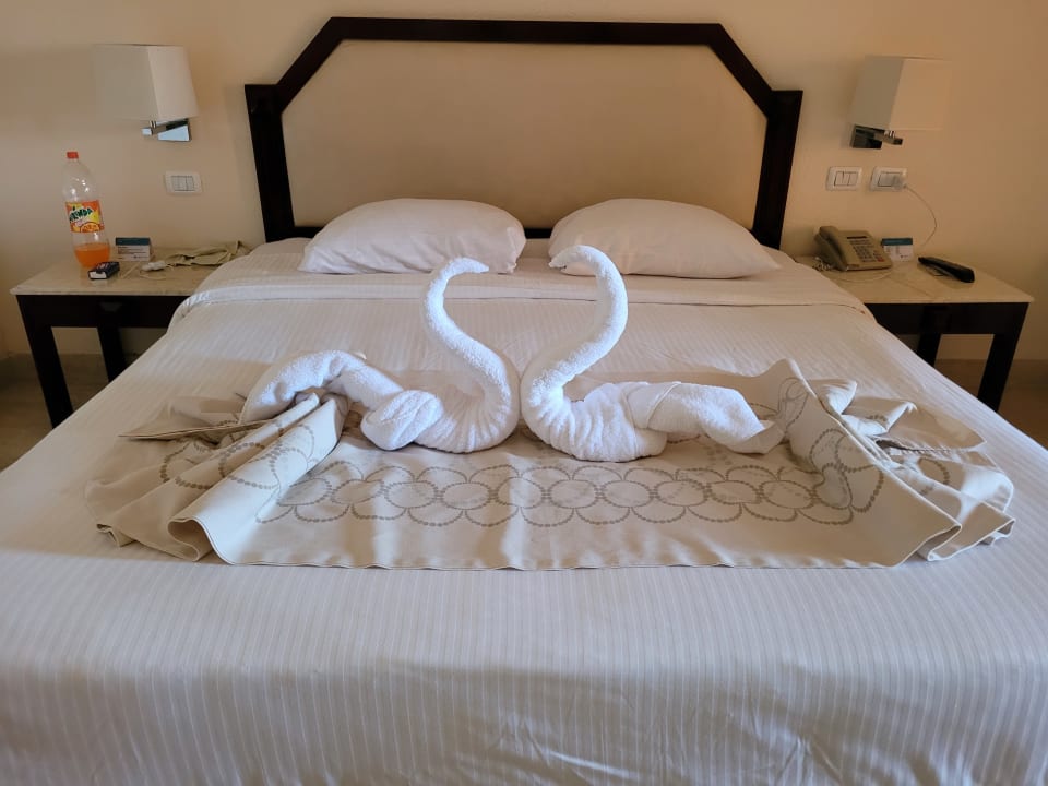 Zimmer Continental Hotel Hurghada