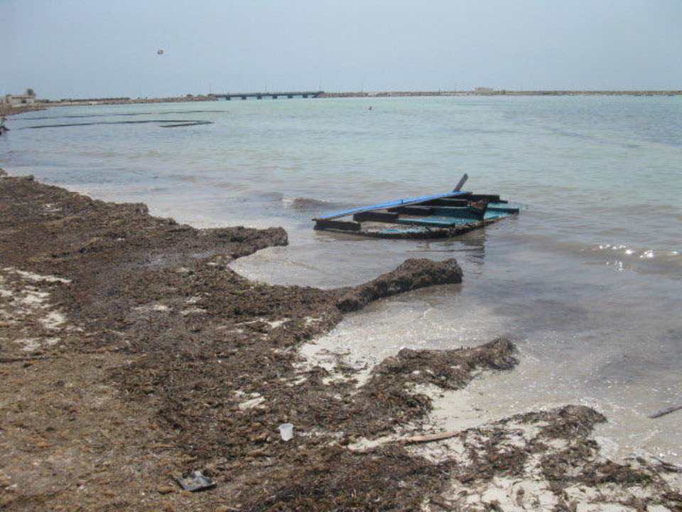 Czystość plaży Hotel Bravo Djerba