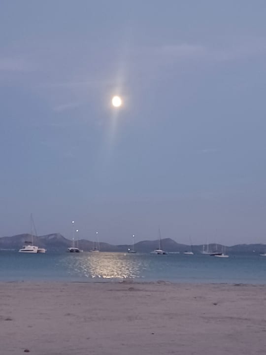 Strand Alcudia Garden Aparthotel