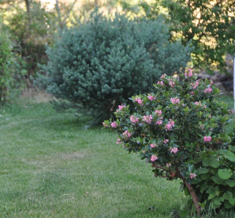 Gartenanlage Village Fior di Sardegna
