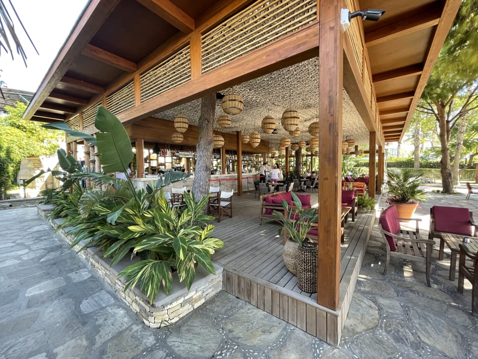 Gastro Arum Barut Collection