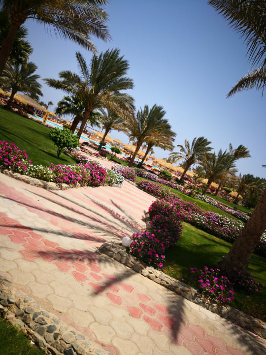 Gartenanlage Three Corners Sea Beach Resort