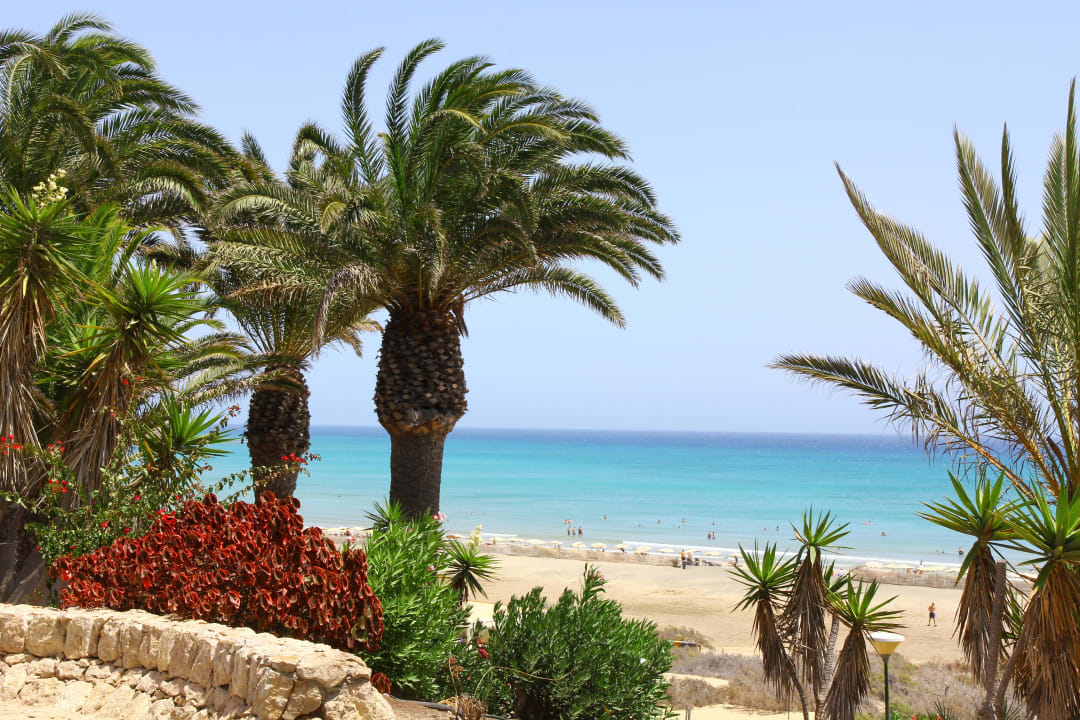 Vom Afrikabar zum Ozean SBH Monica Beach Resort