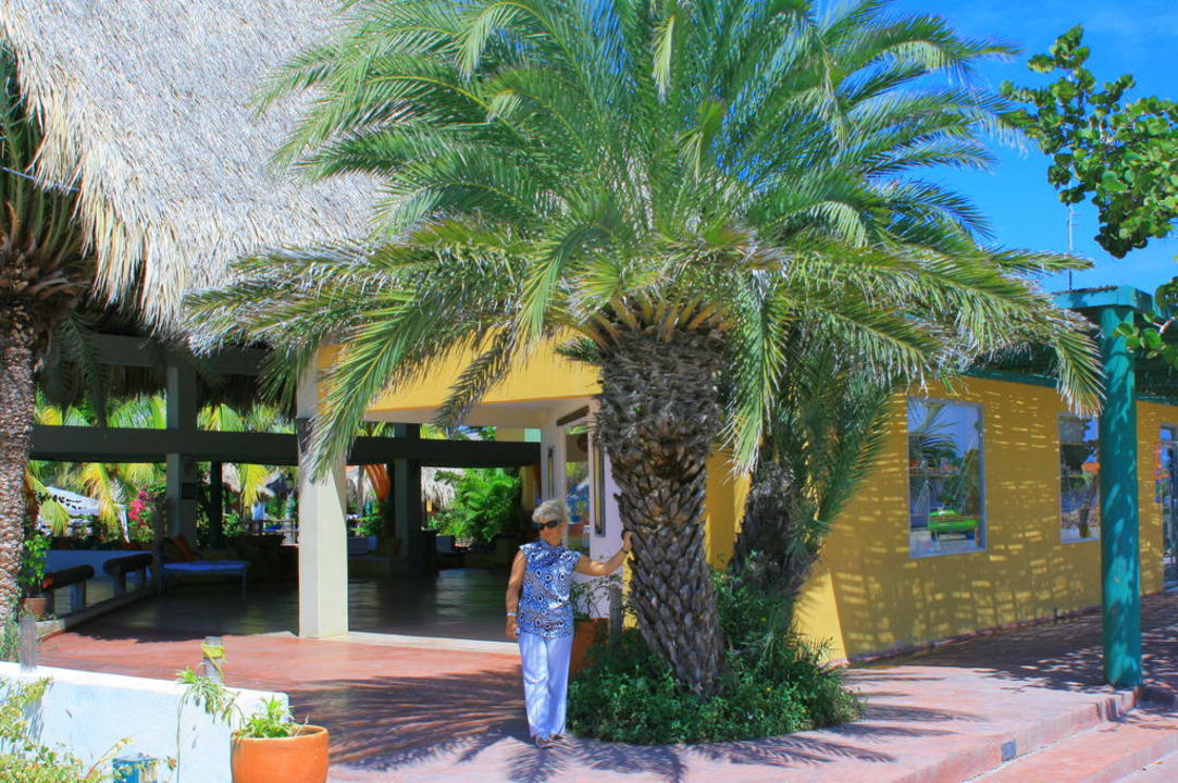 Recepcja Hotel Coche Paradise Resort